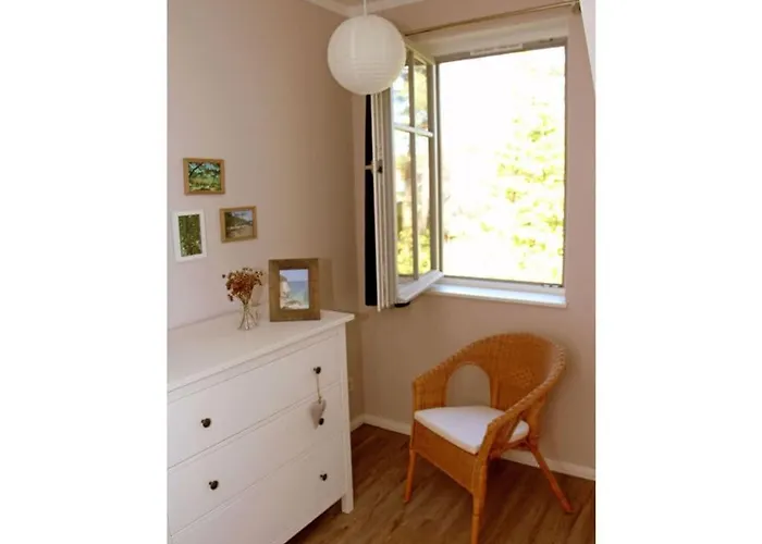 Short Break Comfortable غلوفي